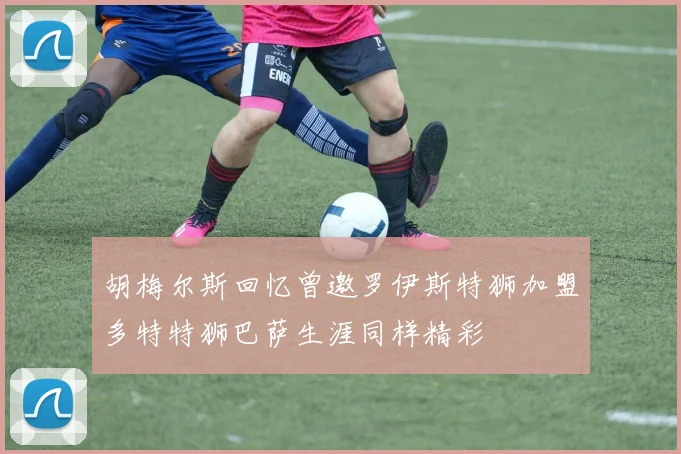 胡梅尔斯回忆曾邀罗伊斯特狮加盟多特特狮巴萨生涯同样精彩