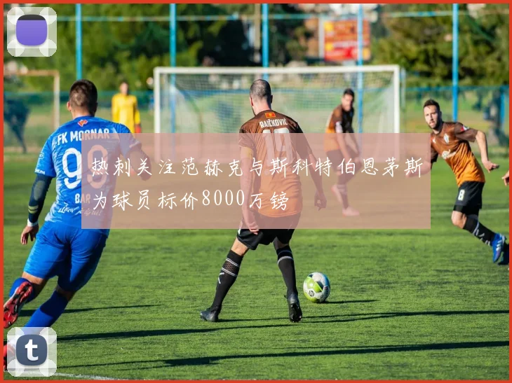 热刺关注范赫克与斯科特伯恩茅斯为球员标价8000万镑