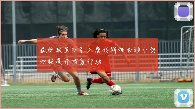 森林狼虽知引入詹姆斯机会渺小仍积极展开招募行动